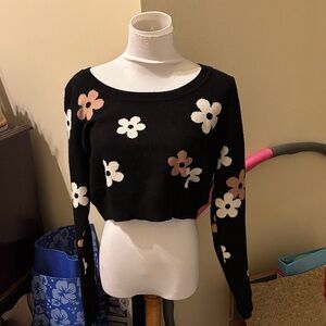 Pac sun cropped sweater